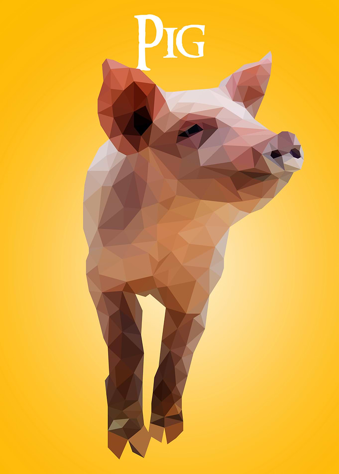 Pig