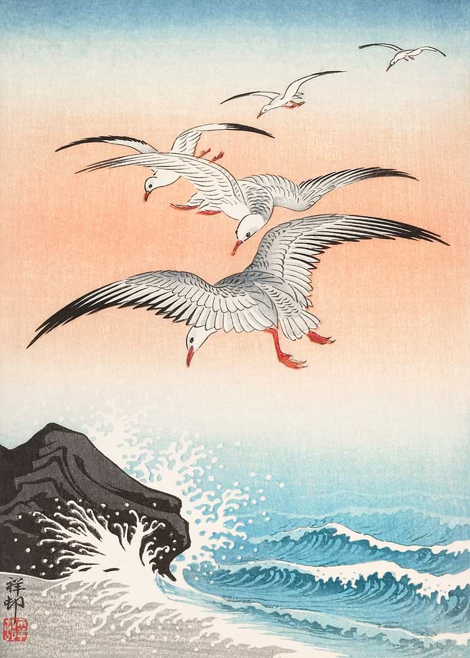 Five Seagulls