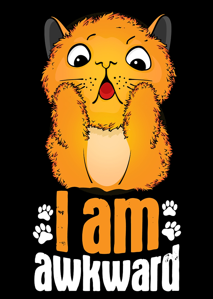 Funny Cat I Am Awkward