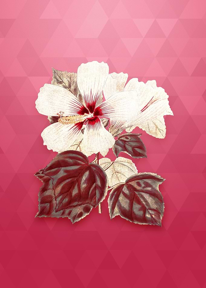 Vintage Marsh Hibiscus
