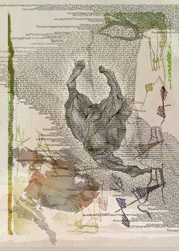 Metamorphosis