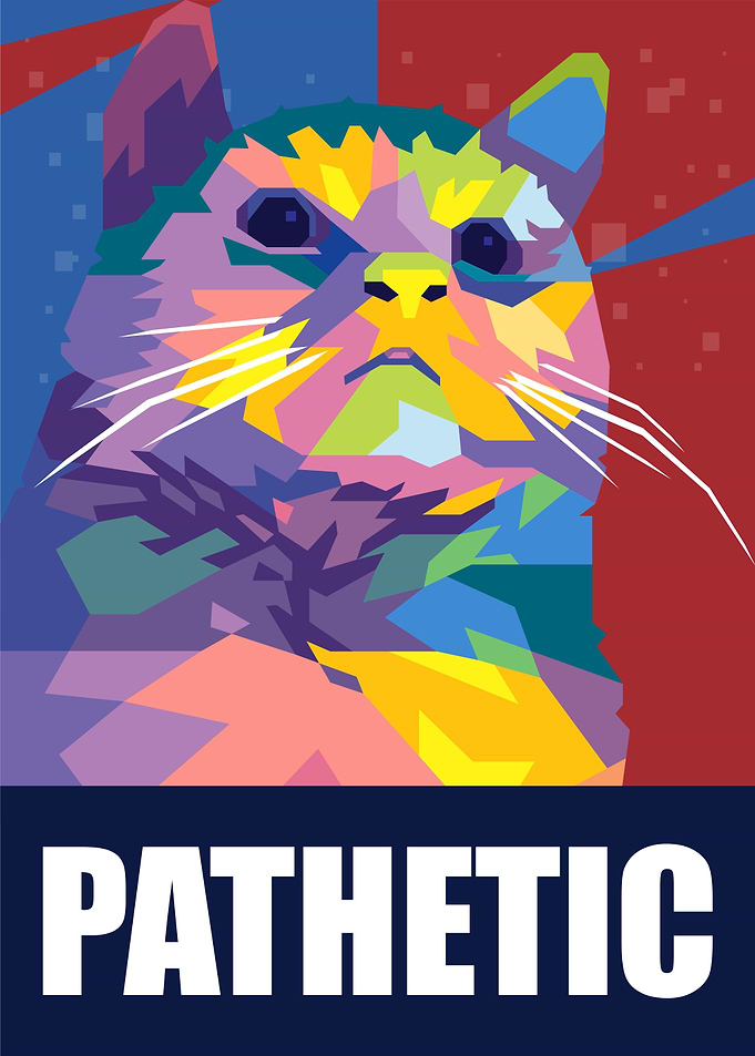 pathetic cat meme