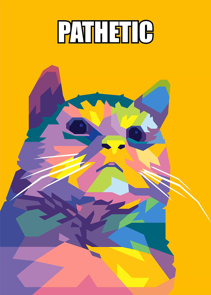 pathetic cat meme