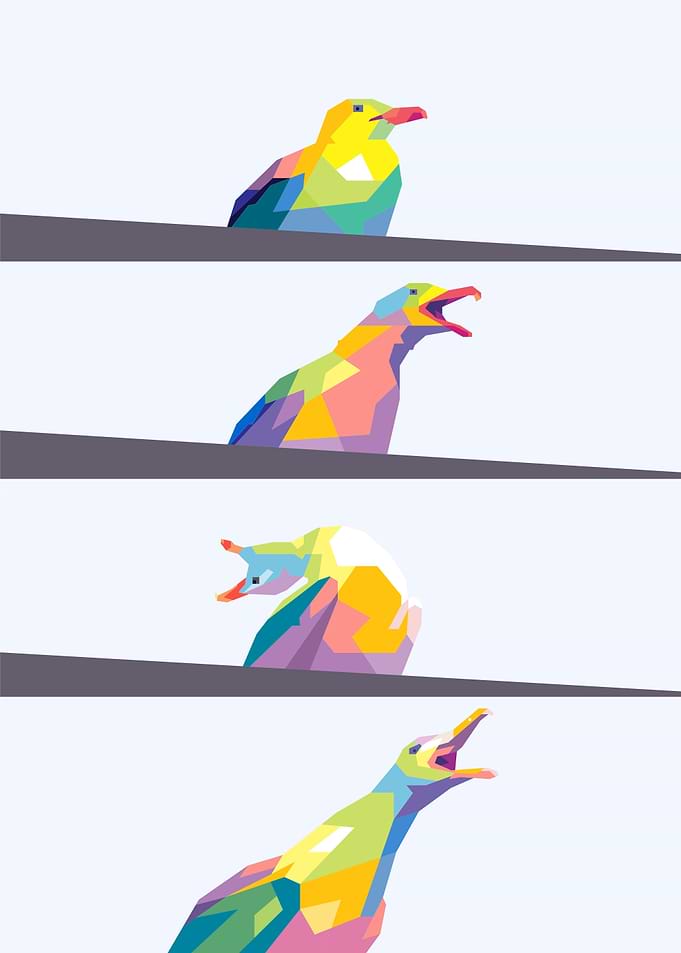 seagull meme