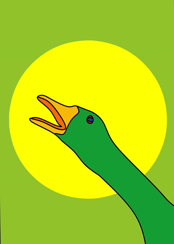 duck animal paint