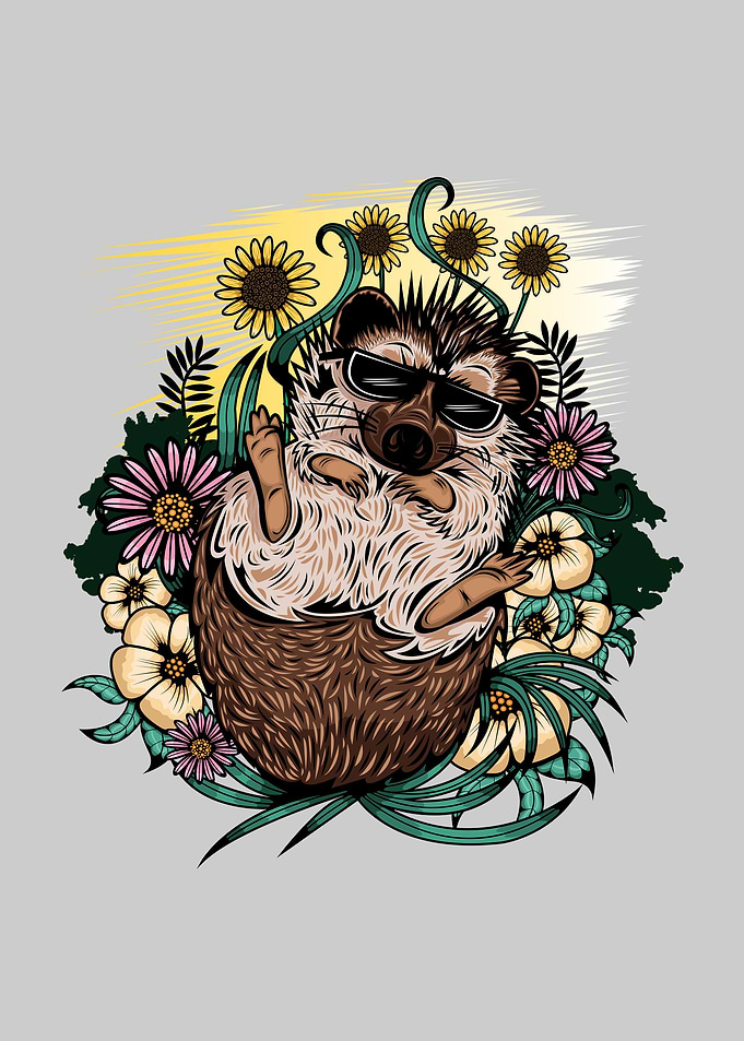 Cool Hedgehog