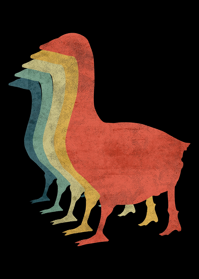 Goose3 Retro Vintage Color