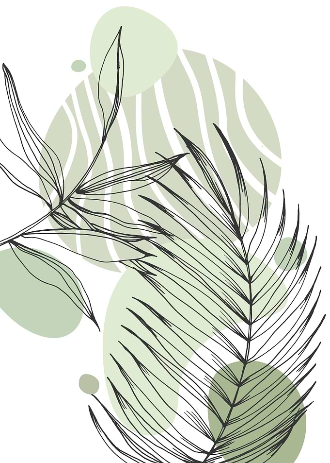 Tropical Palm