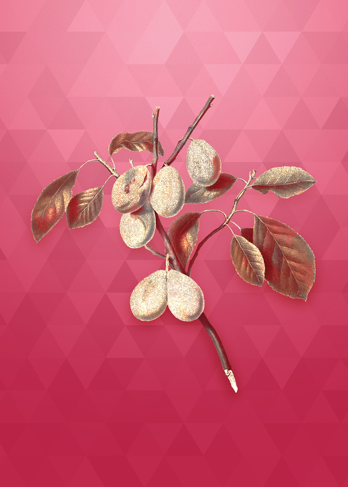 Gold Plum on Viva Magenta