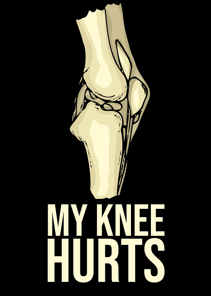 Knee Replacement Recovery