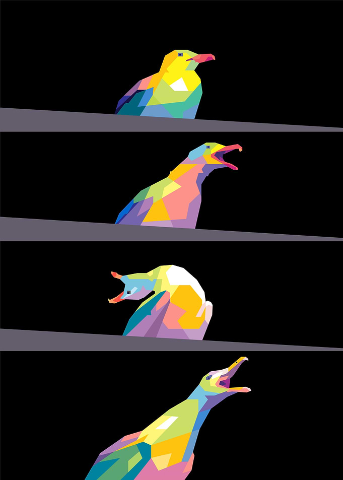 seagull meme