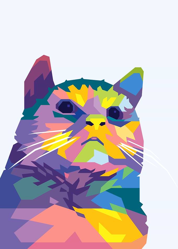 pathetic cat meme