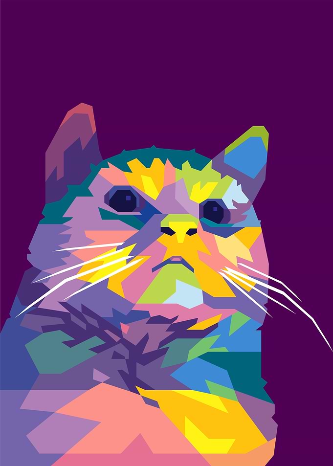 pathetic cat meme