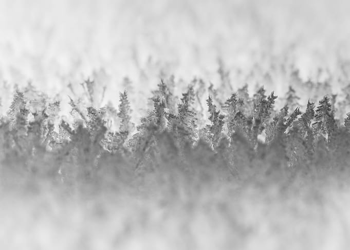 Ice in the morning