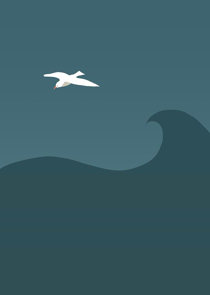 Seagull version 2