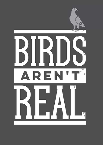 Birds Are Not Real