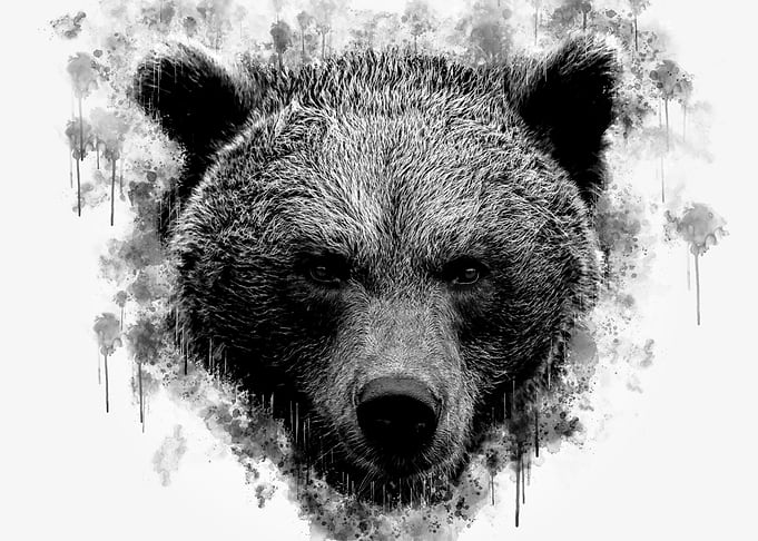 Mighty Brown Bear BW