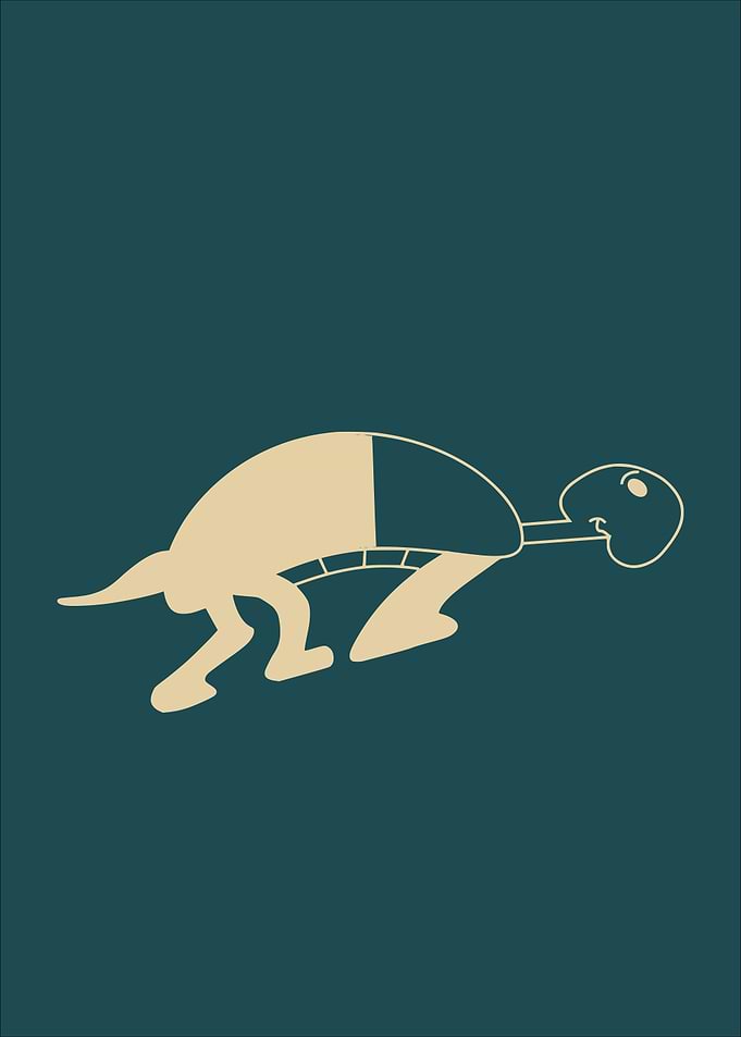 Turtle