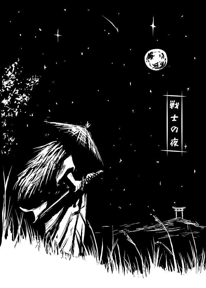 Samurai Warrior s Night