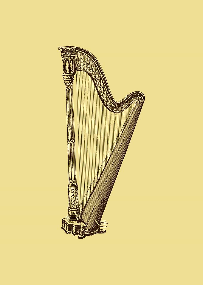 music instrument