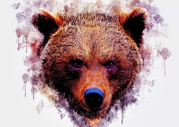 Mighty Brown Bear