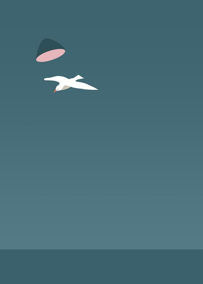 Seagull the stage muted
