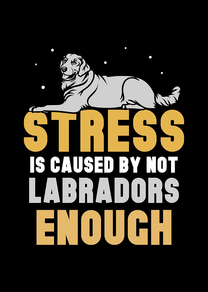 Labrador