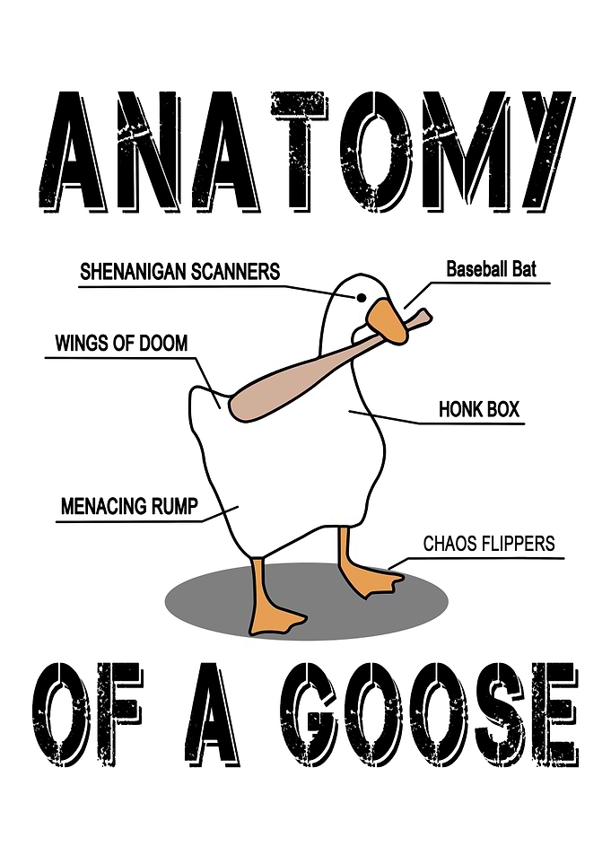 Duck Animal