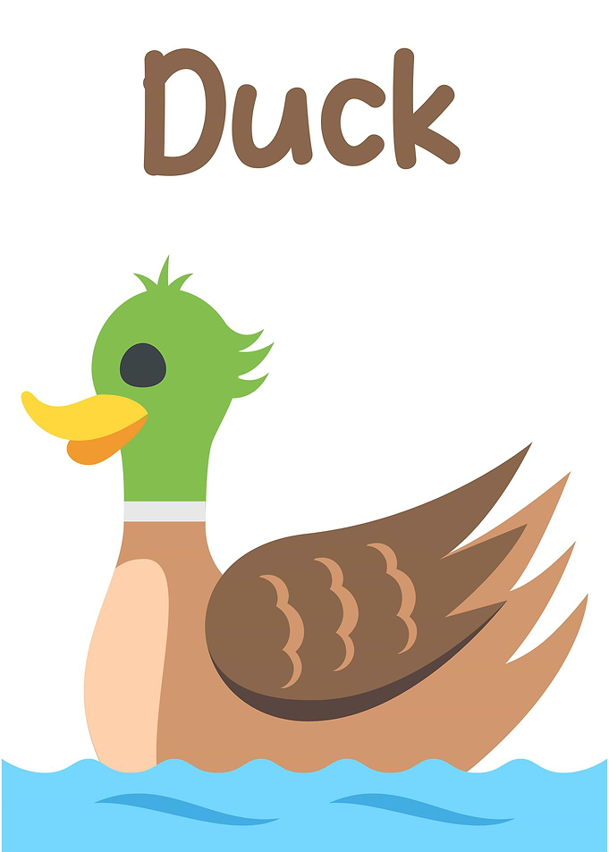 Duck