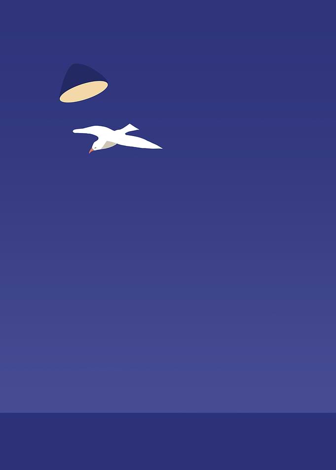 Seagull the stage