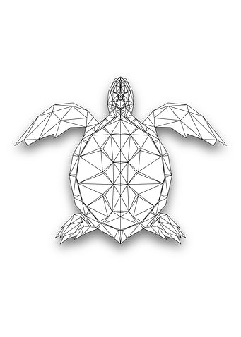 Turtle Wireframe Lowpoly