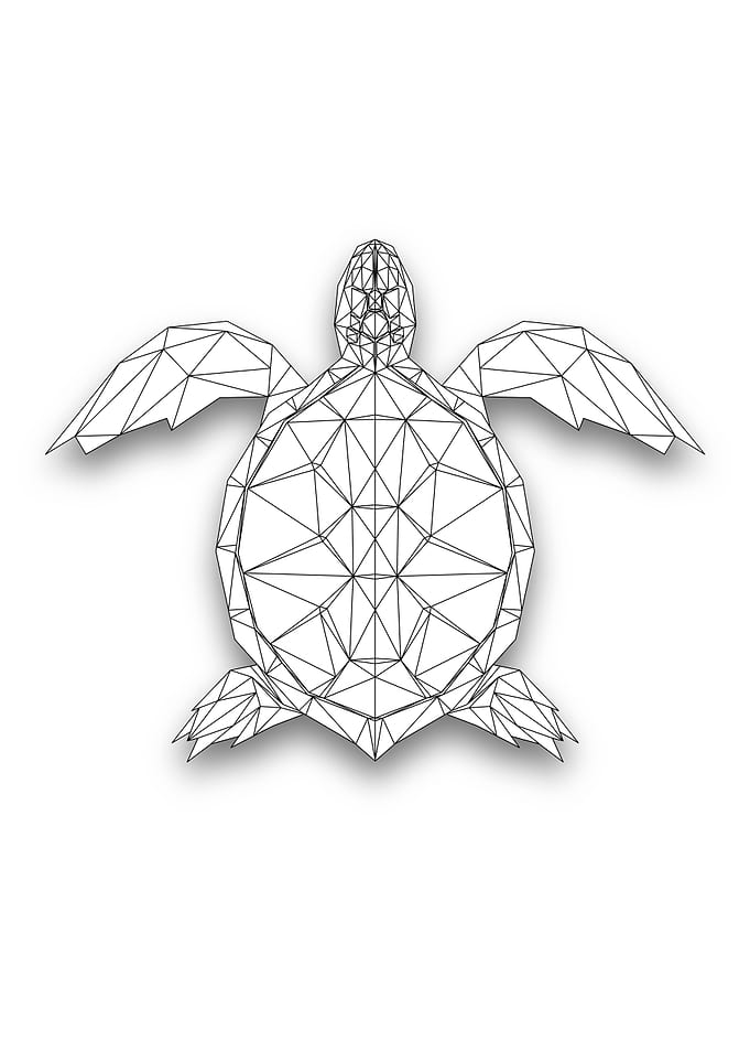 Turtle Wireframe Lowpoly