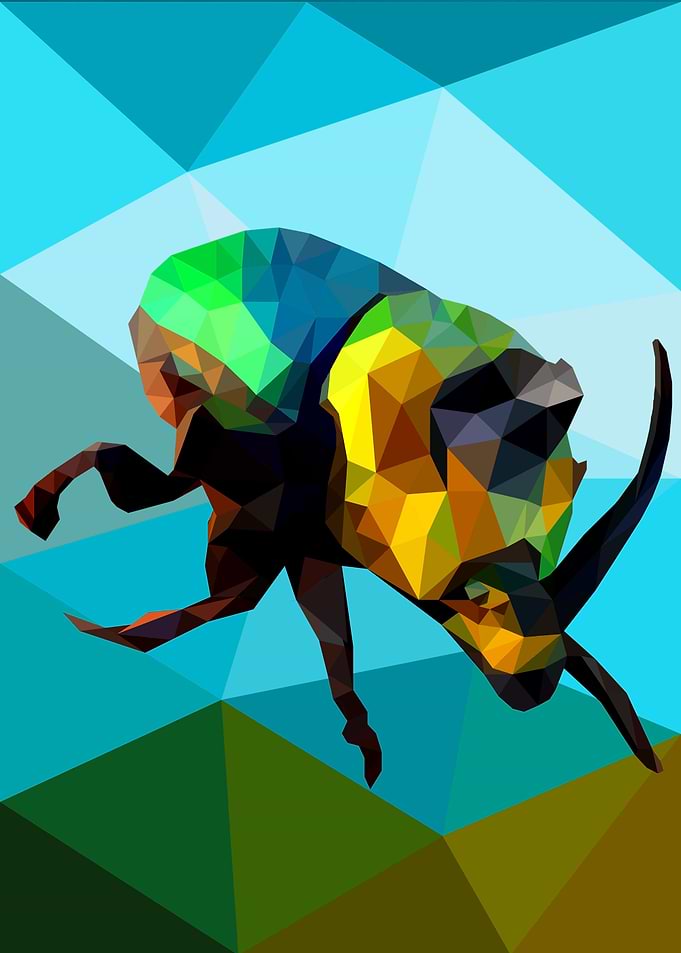 Rhinoceros Beetle
