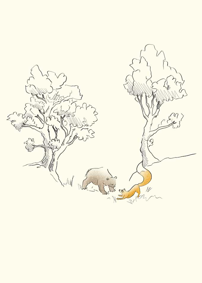 Fox encounter