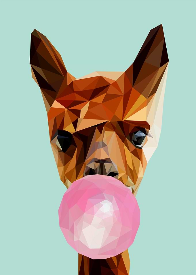 alpaca bubblegum amimal