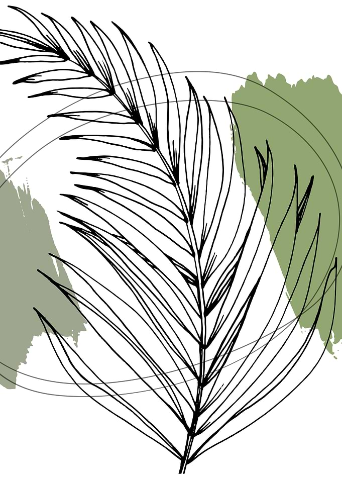 Tropical beach palm