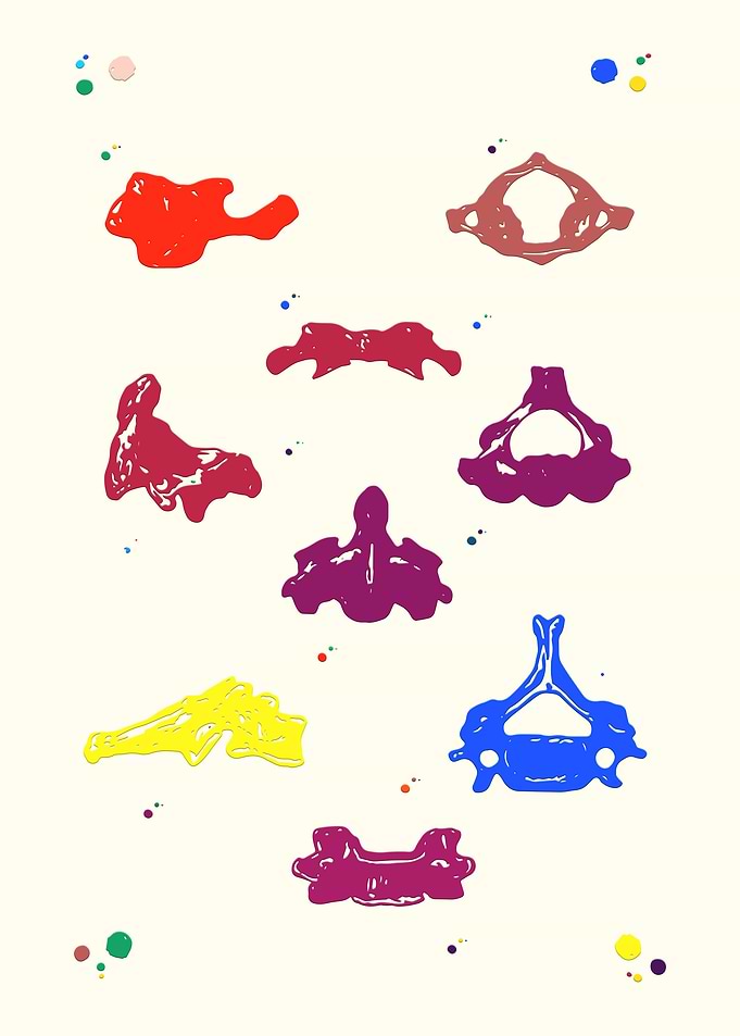 Cervical vertebrae