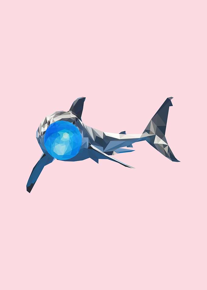 shark bubblegum amimal