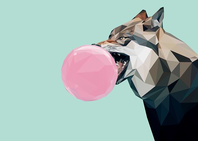 Wolf bubblegum amimal