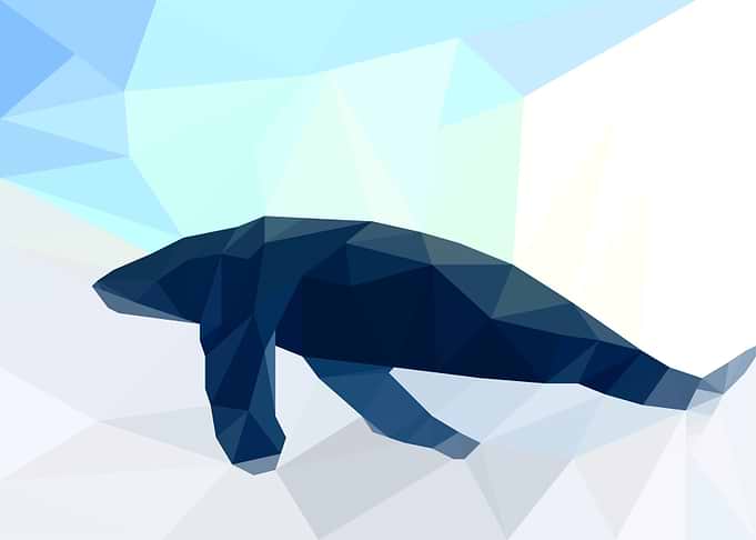 Whale