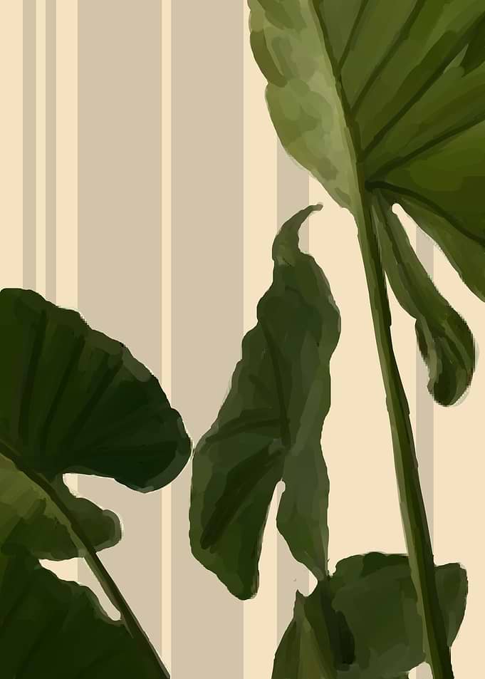 plants minimalist