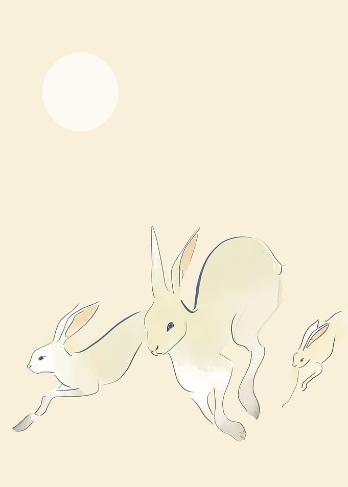 Hare Running