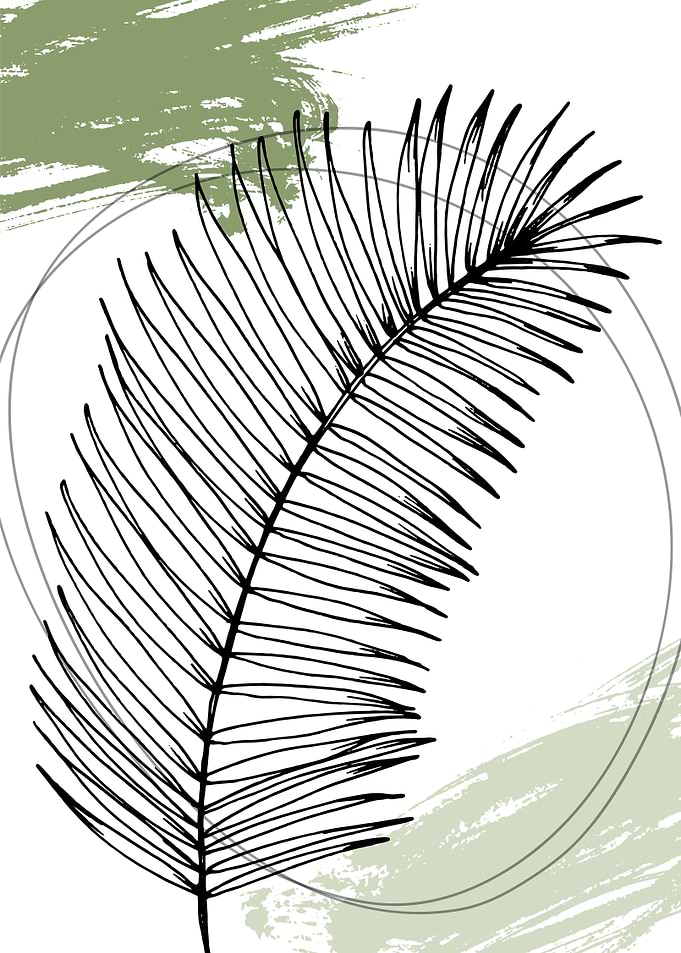 Tropical beach palm