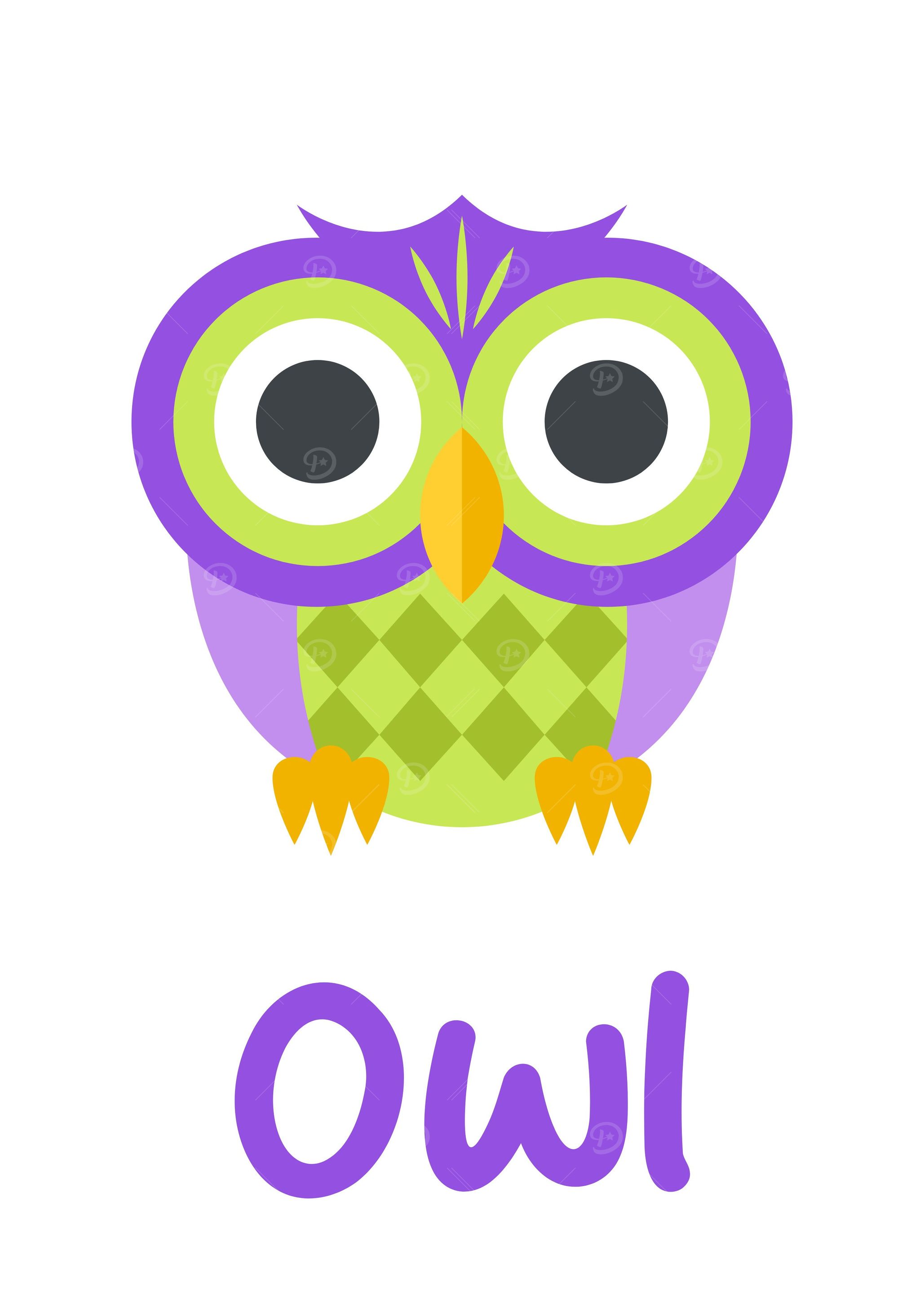 owl