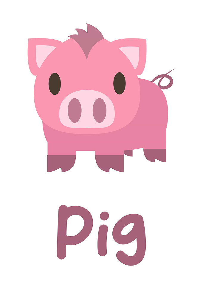 pig