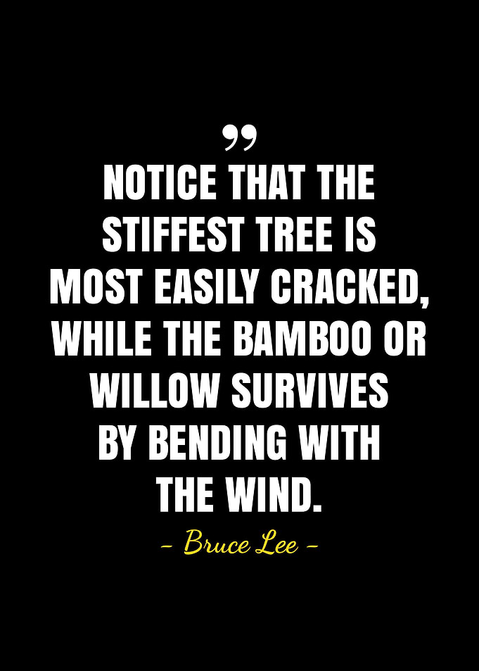 Bruce Lee