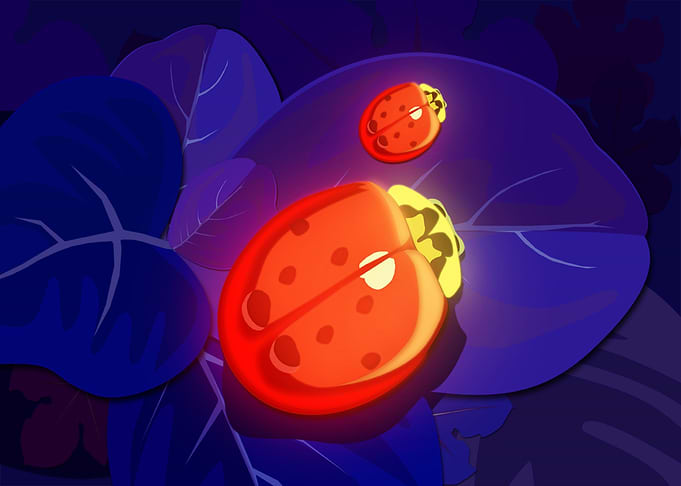 Ladybug Glow