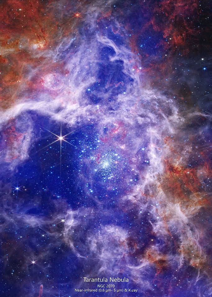 Tarantula Nebula