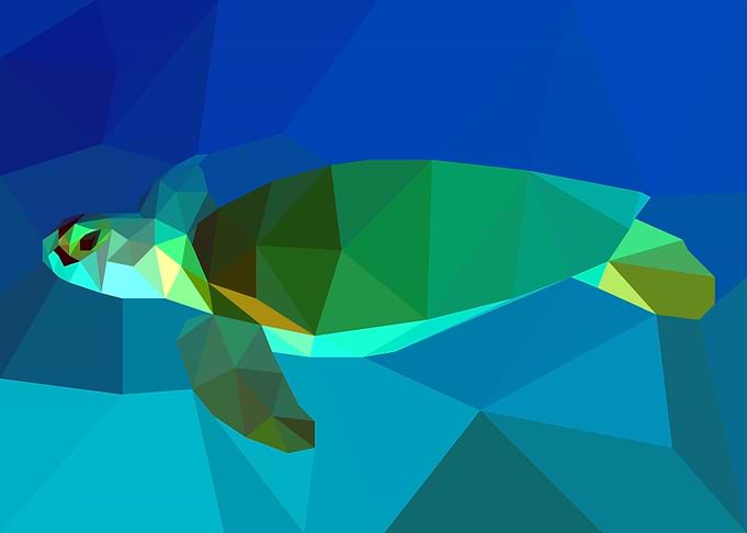 Turtle