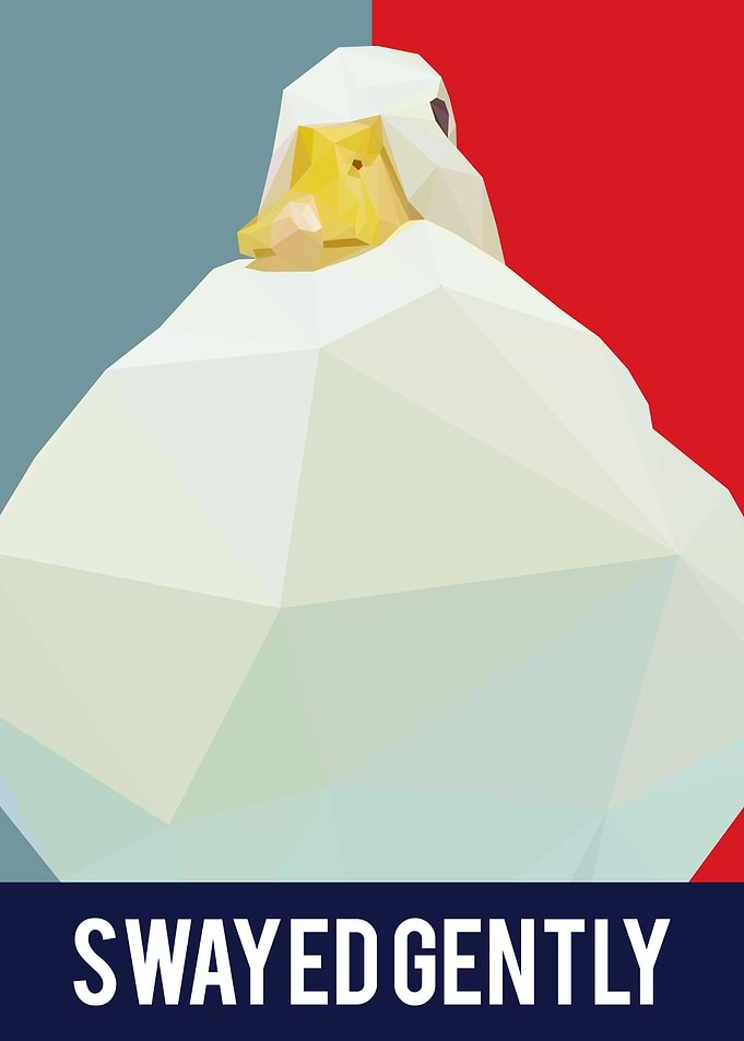 Meme Poster